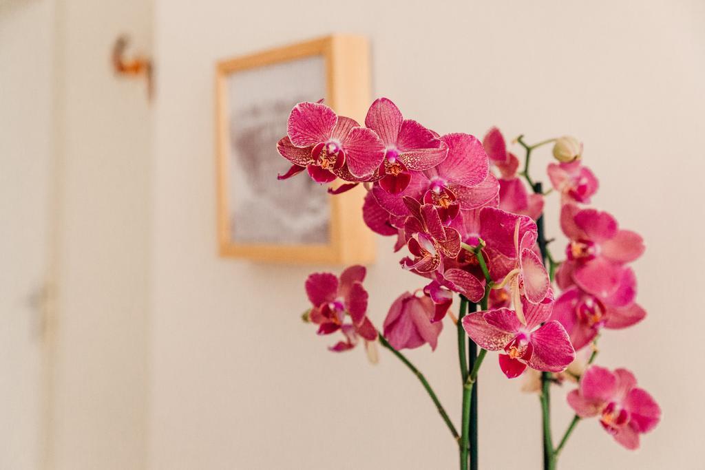 Adriano Augusto Bed & Breakfast Roma Cameră foto