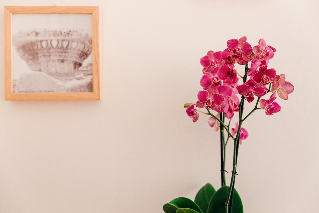 Adriano Augusto Bed & Breakfast Roma Cameră foto